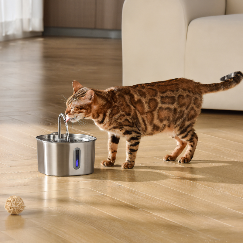 La fontaine santé pour chat Miaqua™