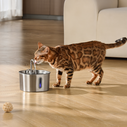 La fontaine santé pour chat Miaqua™