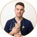 Dr. Thomas