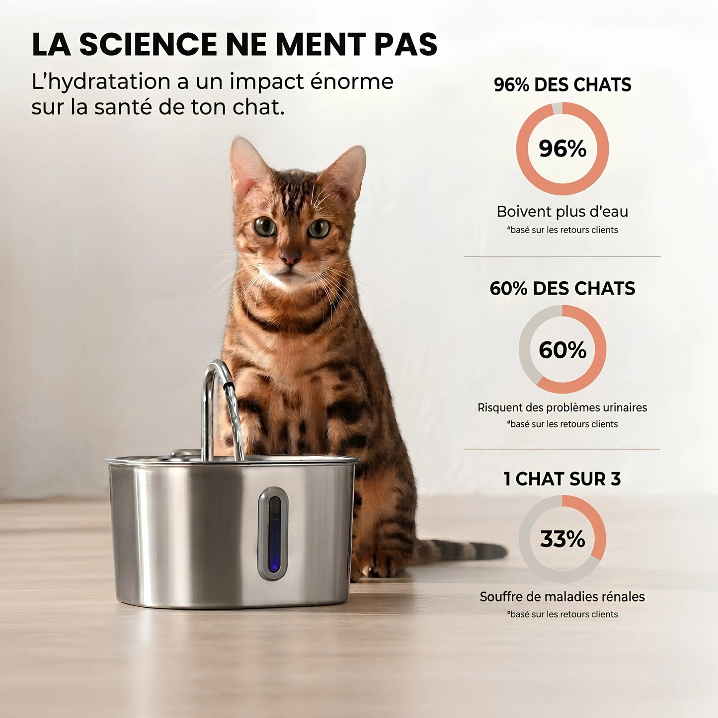 La fontaine santé pour chat Miaqua™