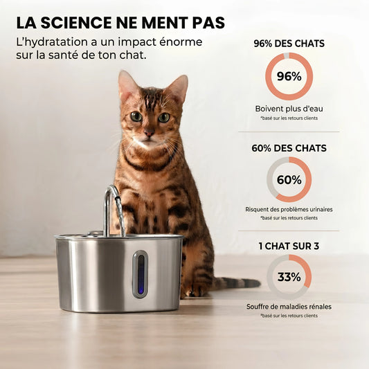 La fontaine santé pour chat Miaqua™